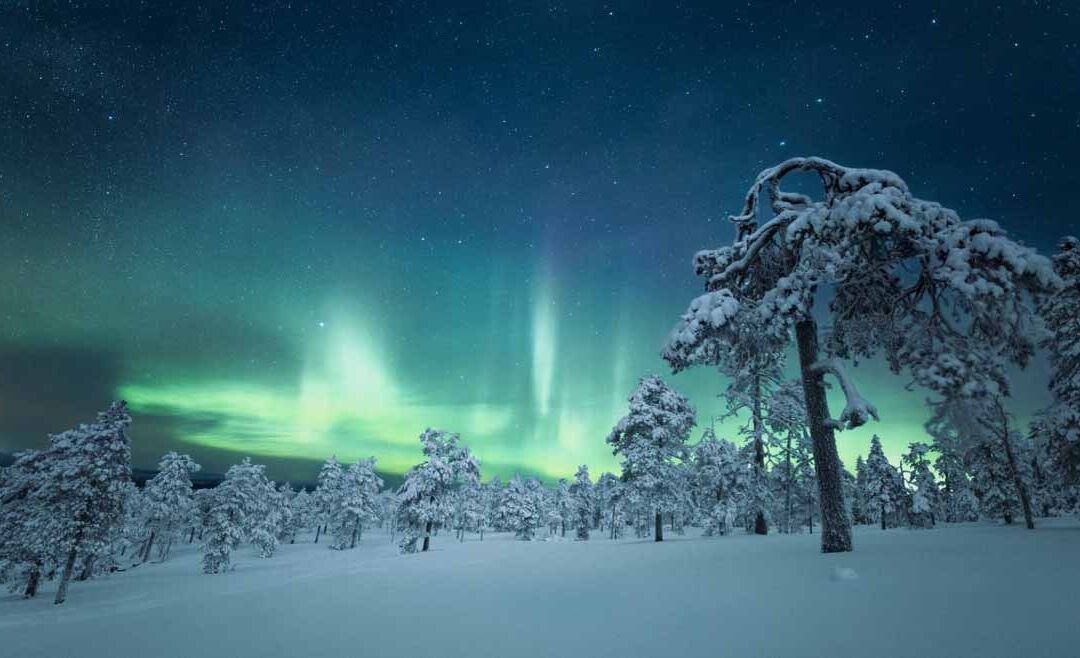Yoga in Lapland with Nea Ferrier, March 2022